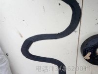 贴缝带-3-