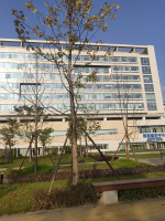 13某医学中心外墙清洗-石材抛光-地板打蜡