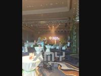 小鹿乱撞-4-