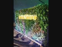 小鹿乱撞-1-
