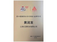 金牌导师证书