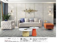 美学整装3.0系列轻奢品质沙发S-556