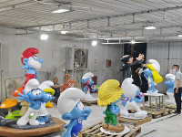 案例展示-1