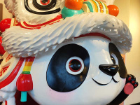 案例展示-5