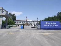 某单位车牌识别以及人脸识别通道系统1