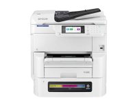 EpsonEM-C8100a