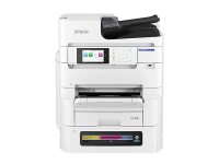 EpsonEM-C8101a