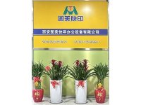 荣誉资质-13-