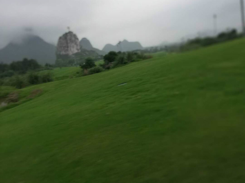 四害防治-3
