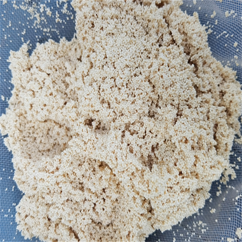 回收电厂水处理树脂1