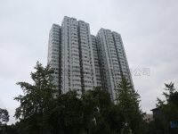 成都锦江区