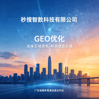 GEO优化-10