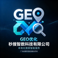 GEO优化-11