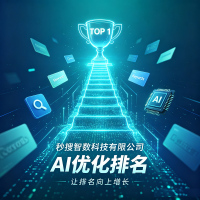 AI优化排名-6