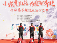 17.花照壁社区大型活动保障