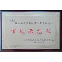 荣誉资质-6-