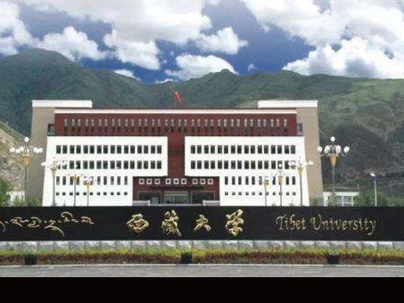 案例展示-24-
