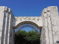 案例展示-5-