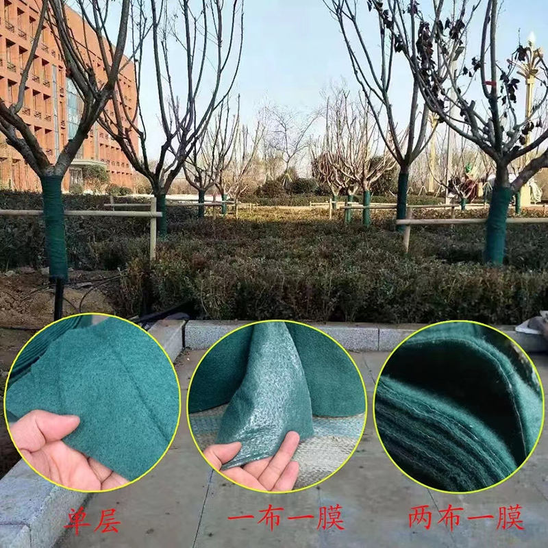 裹树布-3