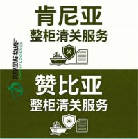 肯尼亚-赞比亚