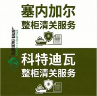 塞内加尔-科特迪瓦