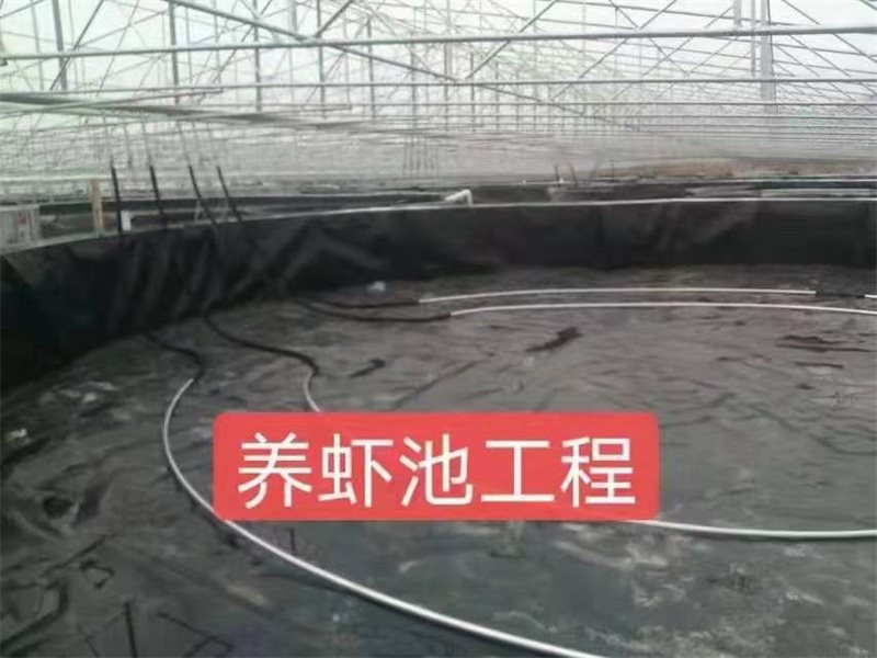 土工膜-11-