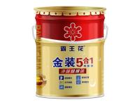 乳胶漆铁桶效果图金装5合11