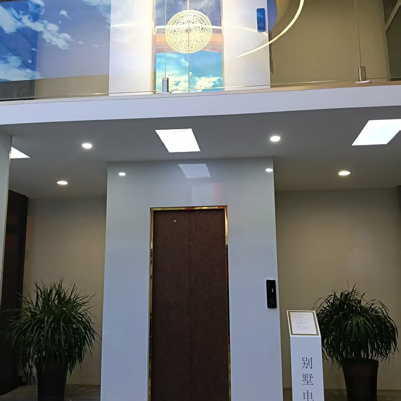 自建井道曳引龙门架-1-
