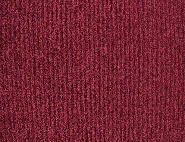 221205152IN39