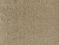 221205152I6130