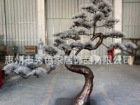 图片编辑
