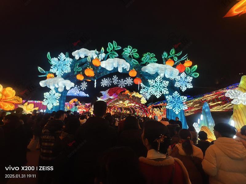 自贡灯会文旅开发-25-