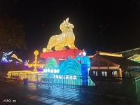 自贡灯会案例-18-