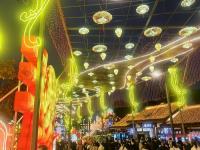 自贡灯会文旅开发-23-