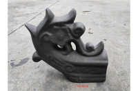 二号花脊卷尾