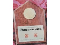 中国专利十年成就展金奖