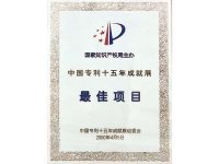 中国专利十五年成就展最佳项目奖