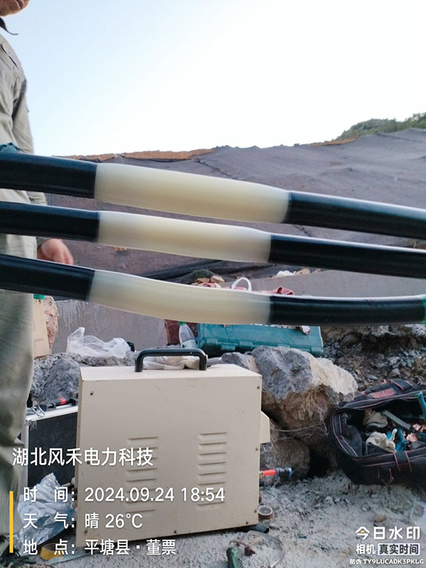 1f885cfe-0131-4fe5-9cc1-669d2142278a