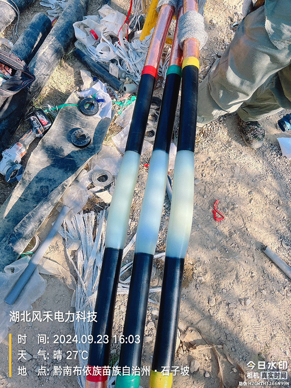 f47d5008-92a1-49dc-a1dd-40c0a4f22c38